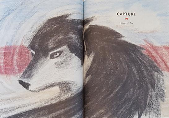 The Wolves Of Currumpaw - Book Review