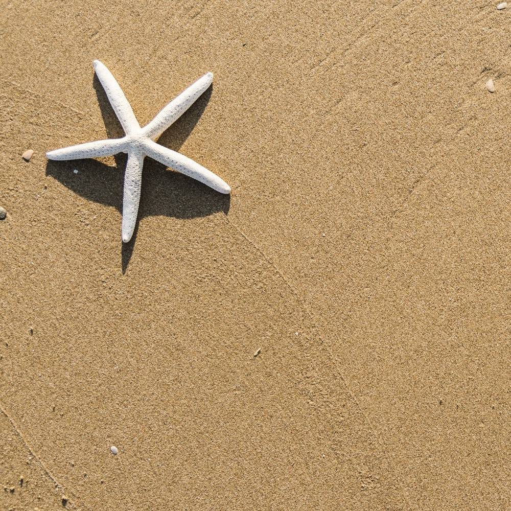 Editorial: End of Season Sale